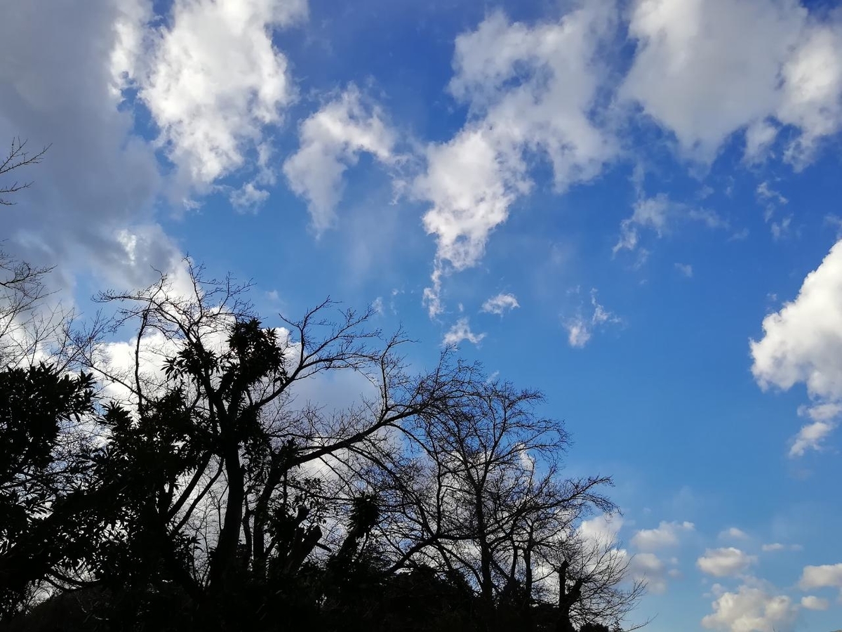 f:id:seiko_udoku:20220115111143j:plain