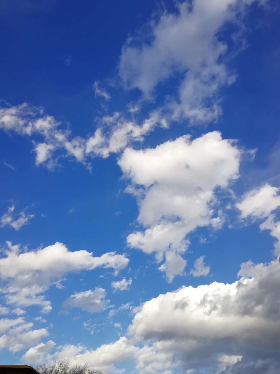 f:id:seiko_udoku:20220115111942j:plain