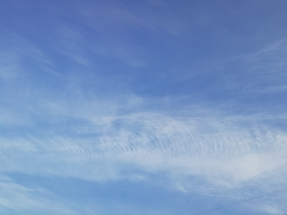 冬の空を見上げている 晴耕雨読 趣味と生活の覚書 冬の空を見上げている 晴耕雨読 趣味と生活の覚書