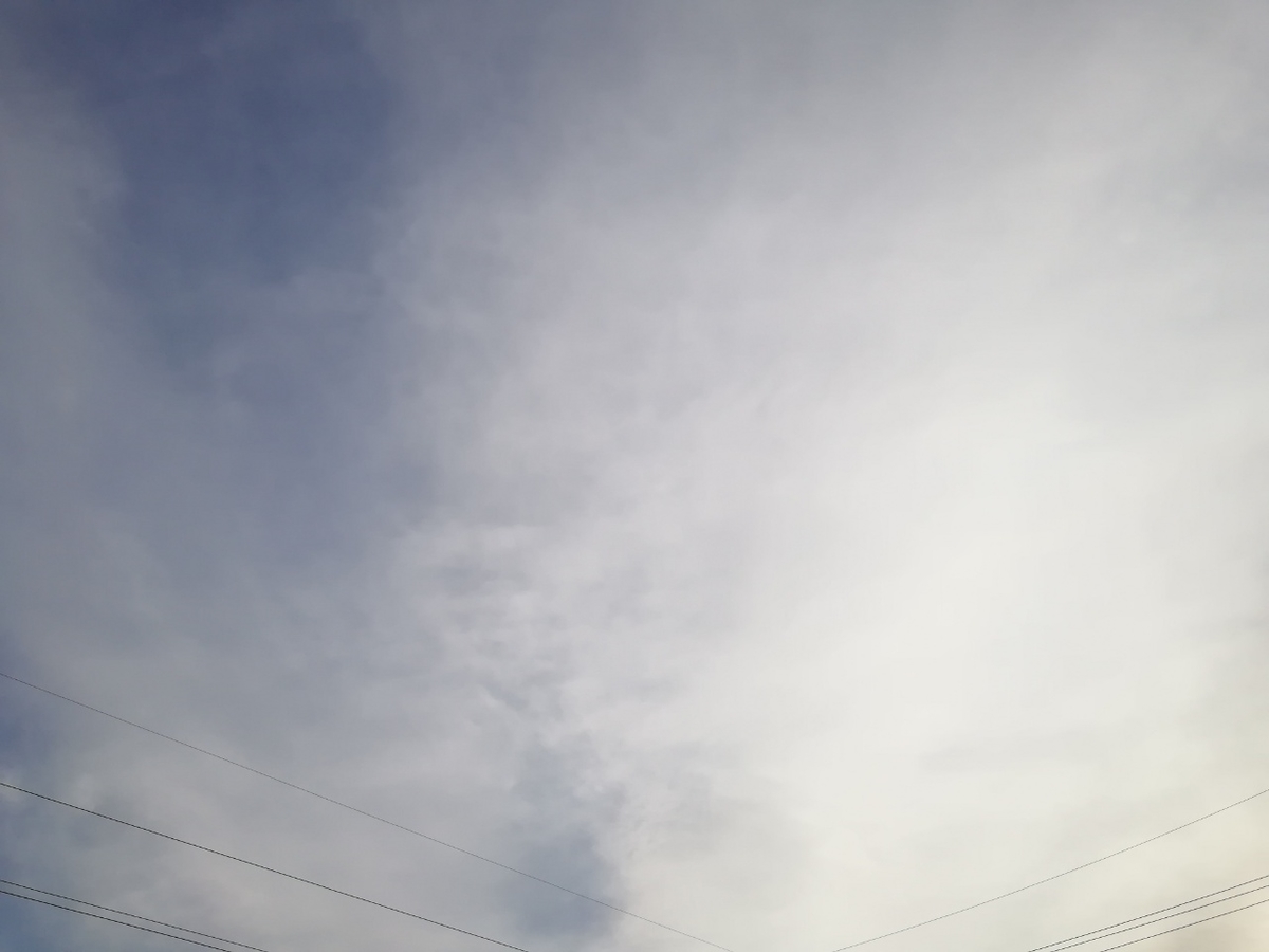 f:id:seiko_udoku:20220204093716j:plain