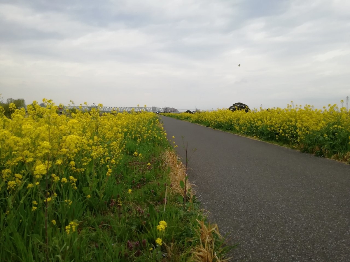 f:id:seiko_udoku:20220405232237j:plain