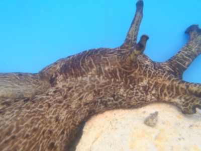 f:id:seikooo:20110503115150j:image:w360