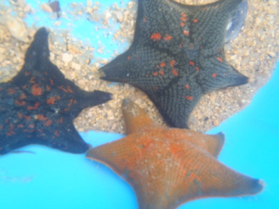 f:id:seikooo:20110503115159j:image:w360