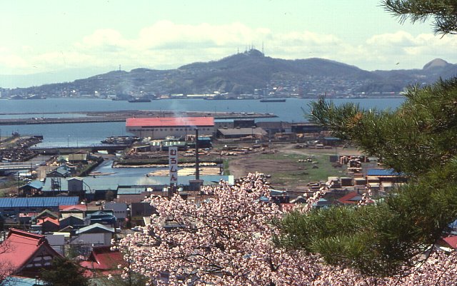 f:id:seikou1949:20100514122336j:image f:id:seikou1949:20100514122336j:image