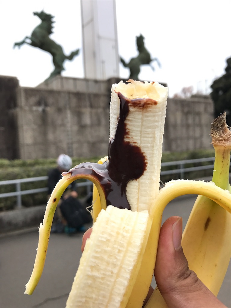 f:id:seikousisan:20170211112308j:image
