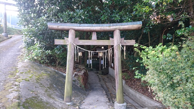 高千穂 八大之宮 八大龍王水神社 Sacred Place Solaris 生命の花 高千穂 八大之宮 八大龍王水神社 Sacred Place Solaris 生命の花