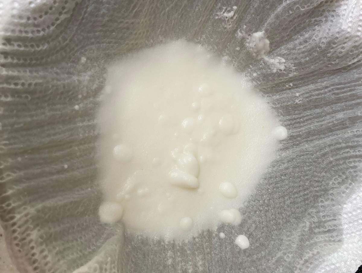 f:id:seinoblog:20211128152401j:plain