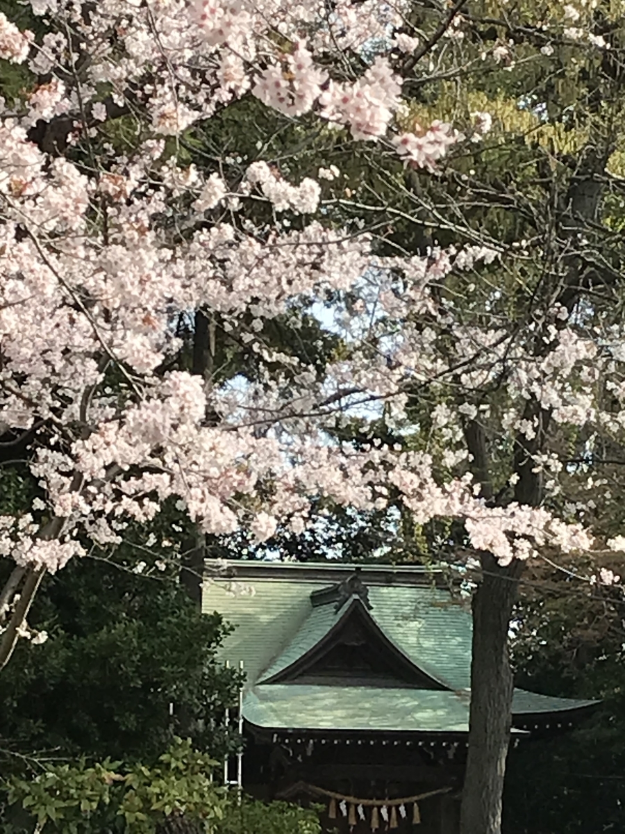 f:id:seishinenomoto:20220331081255j:plain