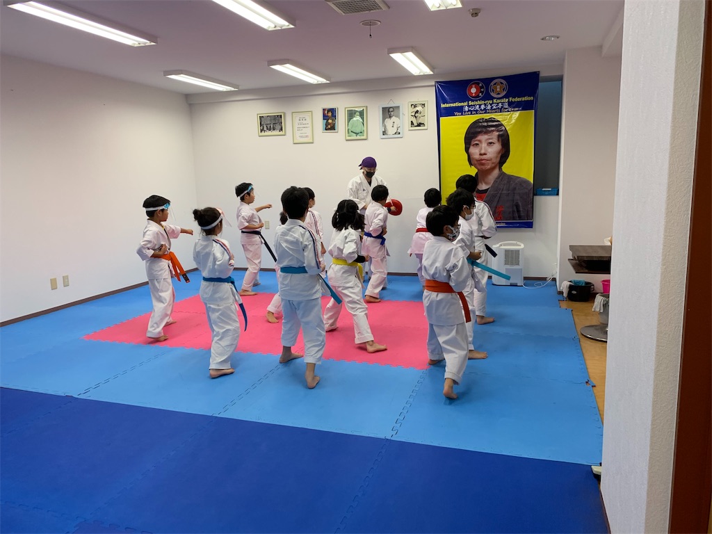 f:id:seishinkan_dojo:20201006134144j:image