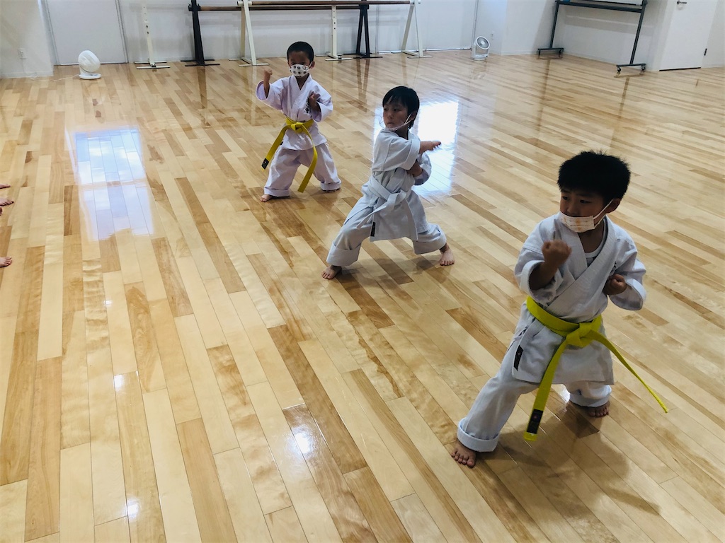 f:id:seishinkan_dojo:20201007223153j:image
