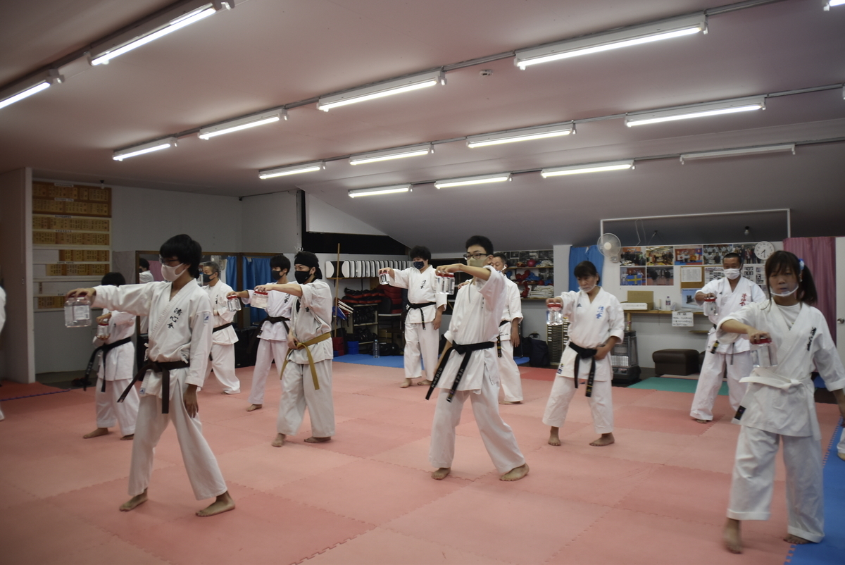 f:id:seishinkan_dojo:20201010222255j:plain