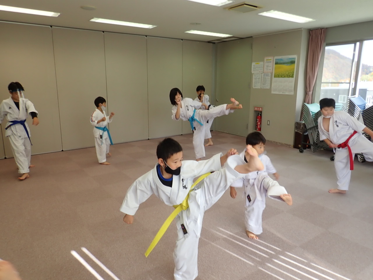 f:id:seishinkan_dojo:20201024224012j:plain