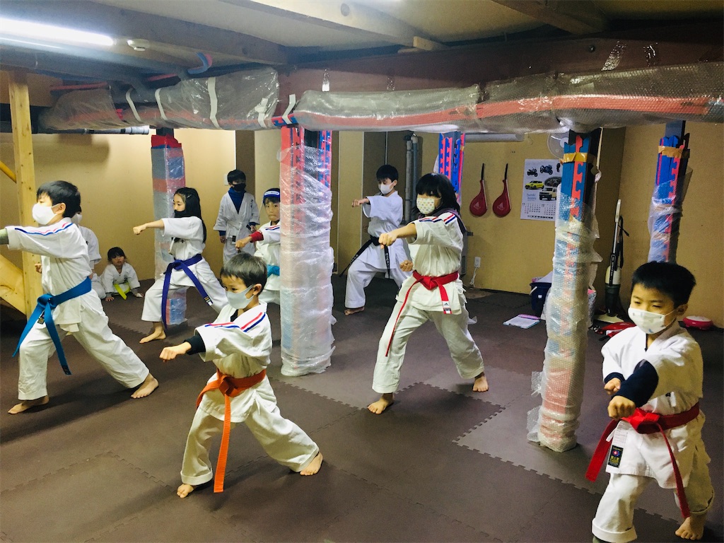 f:id:seishinkan_dojo:20201106202901j:image