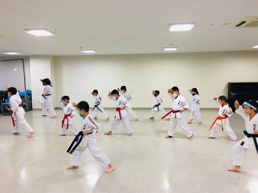 f:id:seishinkan_dojo:20201106203616j:image