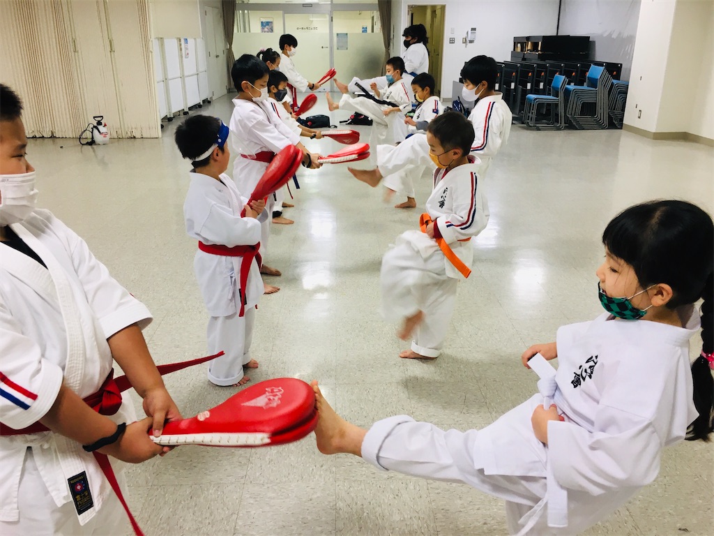 f:id:seishinkan_dojo:20201106203620j:image
