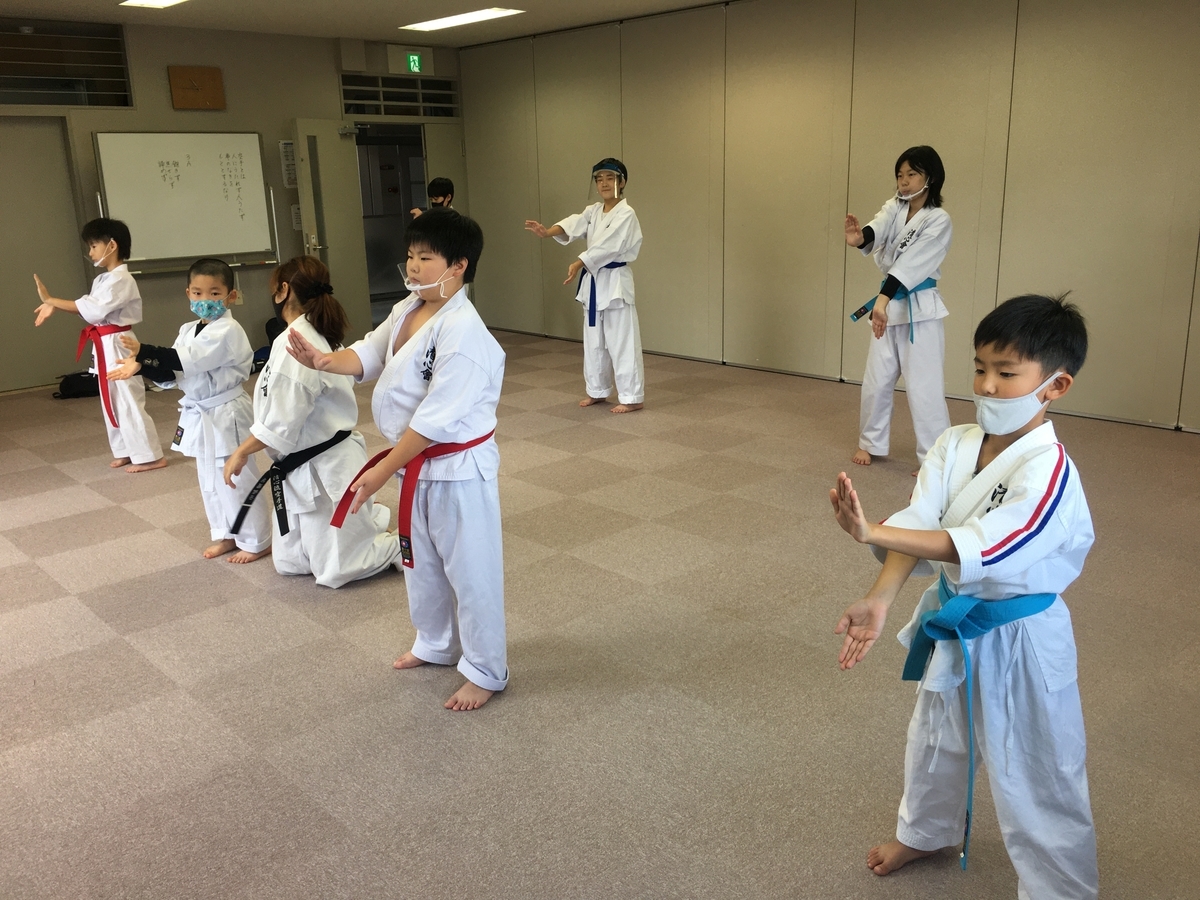 f:id:seishinkan_dojo:20201107154706j:plain