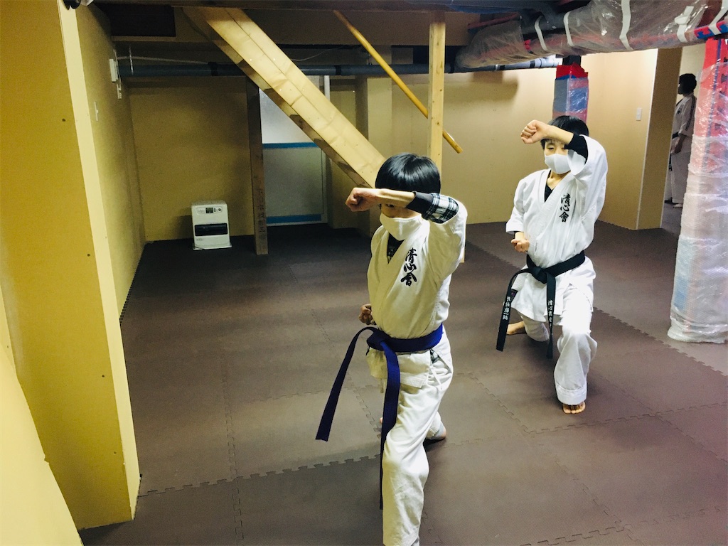 f:id:seishinkan_dojo:20201120113051j:image