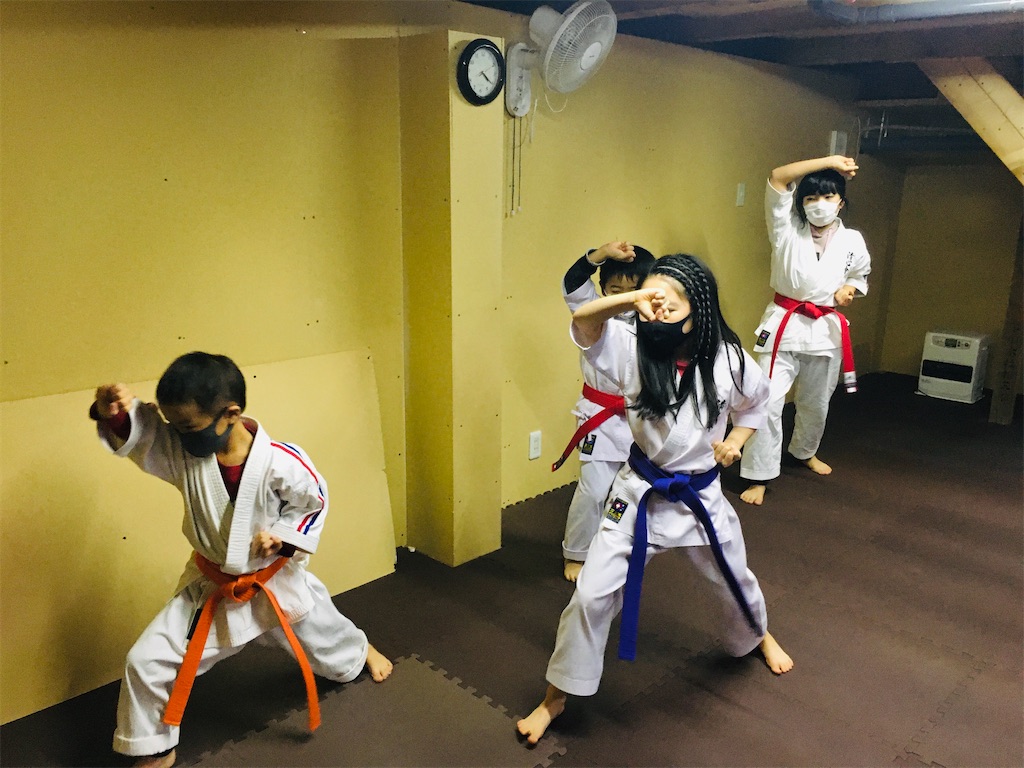 f:id:seishinkan_dojo:20201120113055j:image