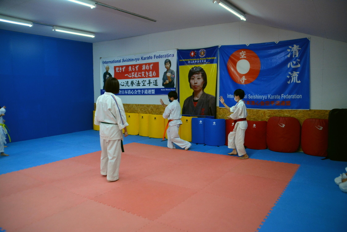f:id:seishinkan_dojo:20201126010455j:plain