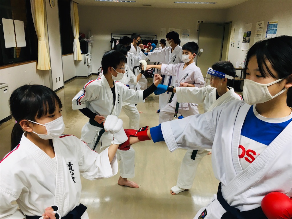 f:id:seishinkan_dojo:20201204144650j:image