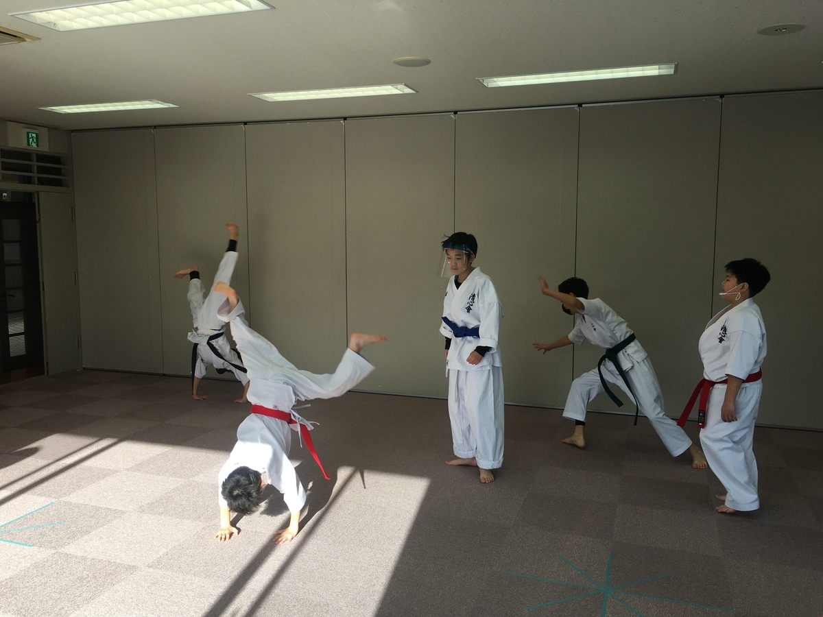 f:id:seishinkan_dojo:20201213175842j:plain