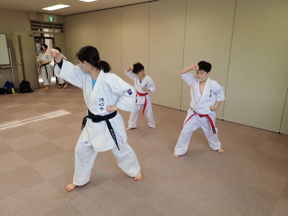 f:id:seishinkan_dojo:20201213180108j:plain
