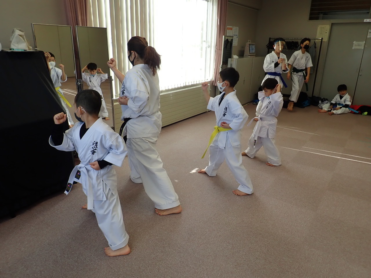 f:id:seishinkan_dojo:20201213180125j:plain