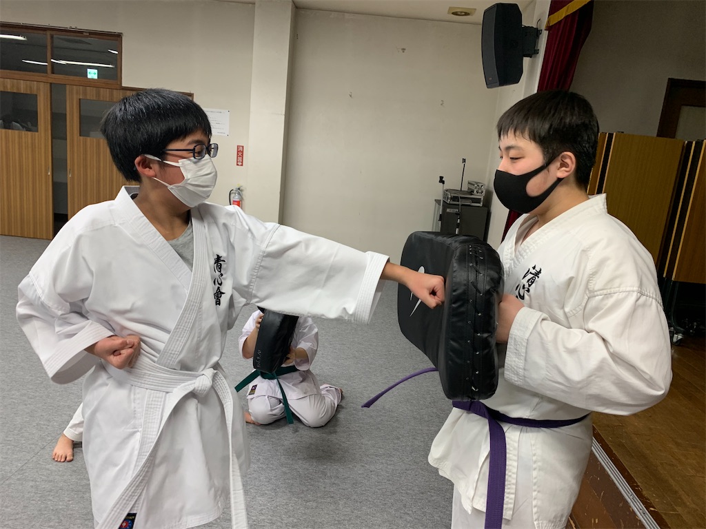f:id:seishinkan_dojo:20210209213930j:image