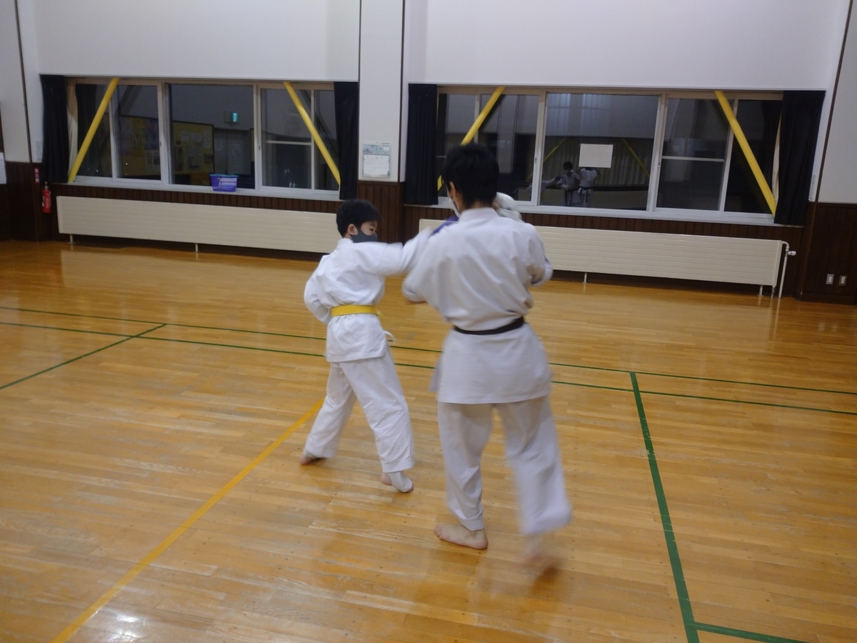 f:id:seishinkan_dojo:20210516141117j:plain