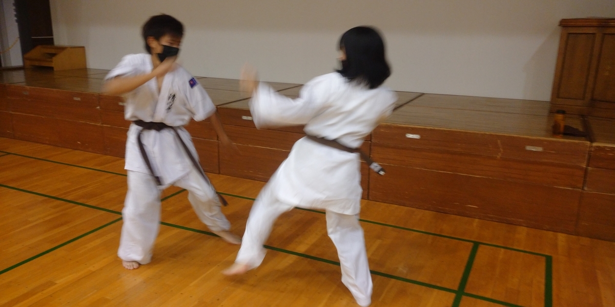f:id:seishinkan_dojo:20211009235553j:plain