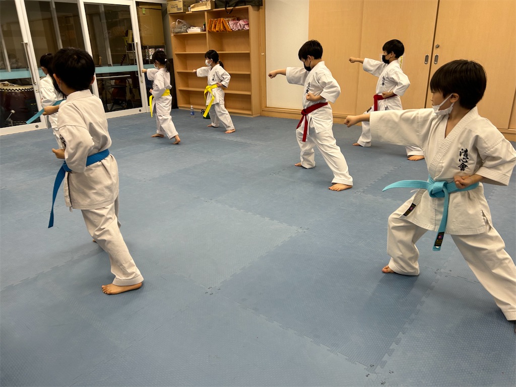 f:id:seishinkan_dojo:20230216194945j:image