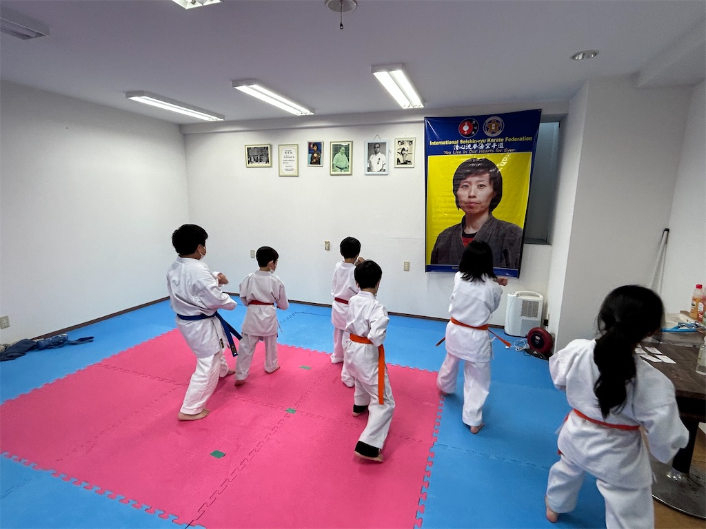 f:id:seishinkan_dojo:20230415090404j:image