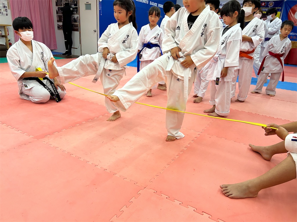 f:id:seishinkan_dojo:20230703200849j:image