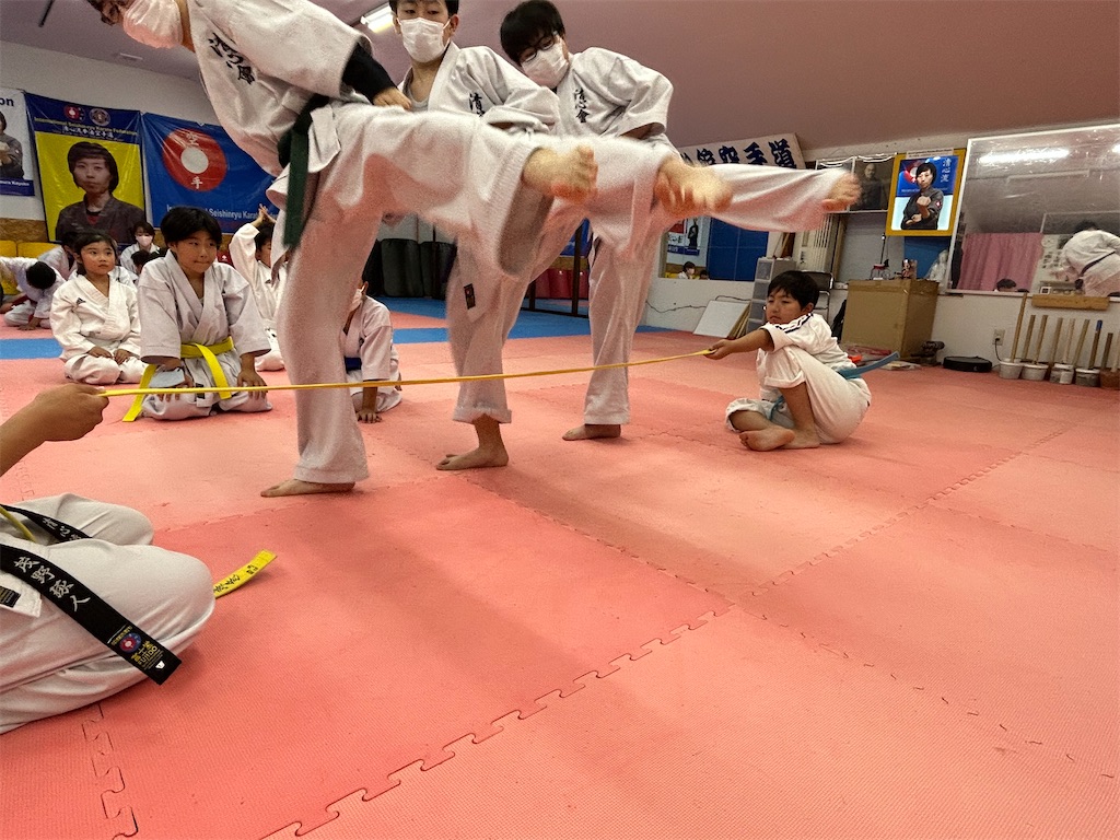 f:id:seishinkan_dojo:20230703200855j:image
