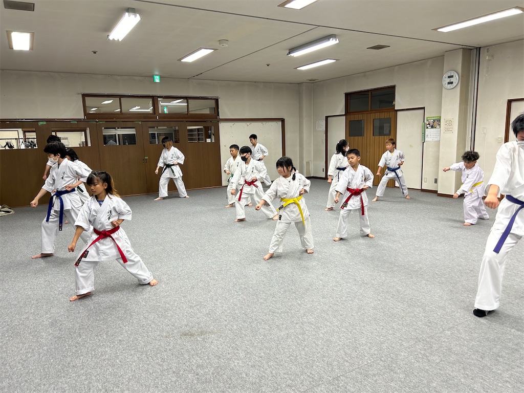 f:id:seishinkan_dojo:20240528204624j:image