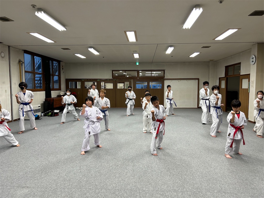 f:id:seishinkan_dojo:20240612094522j:image