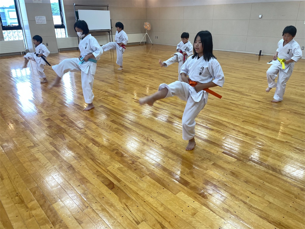 f:id:seishinkan_dojo:20240625220057j:image