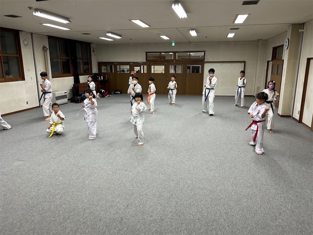 f:id:seishinkan_dojo:20241105212334j:image