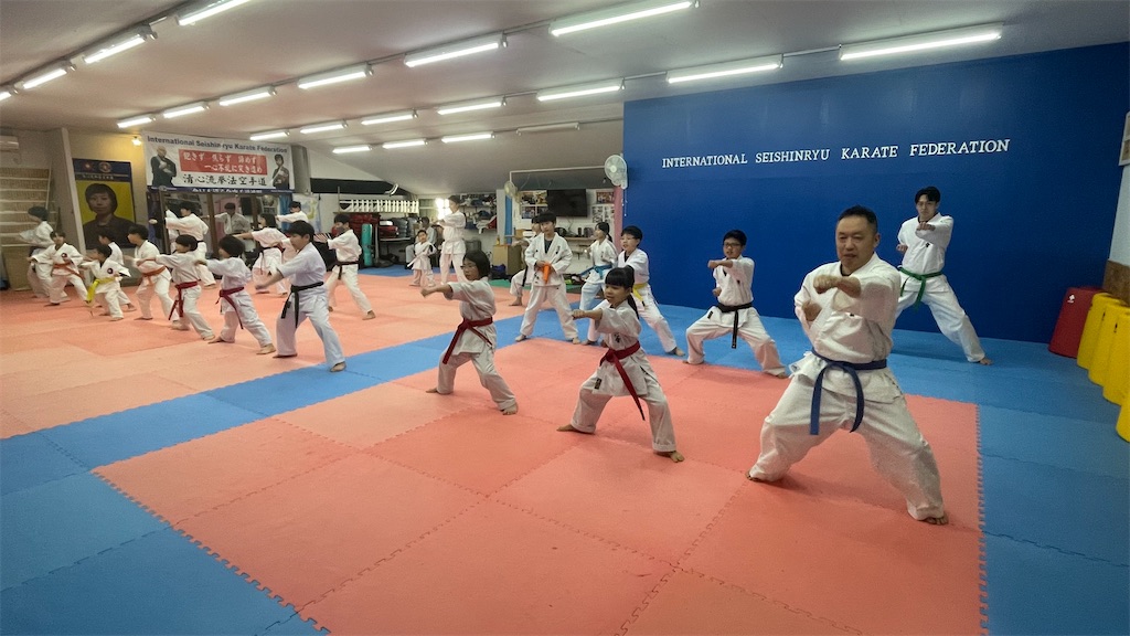 f:id:seishinkan_dojo:20250426222134j:image