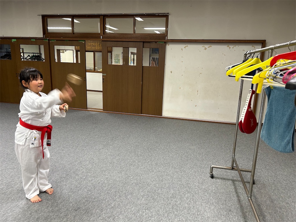 f:id:seishinkan_dojo:20250702071055j:image