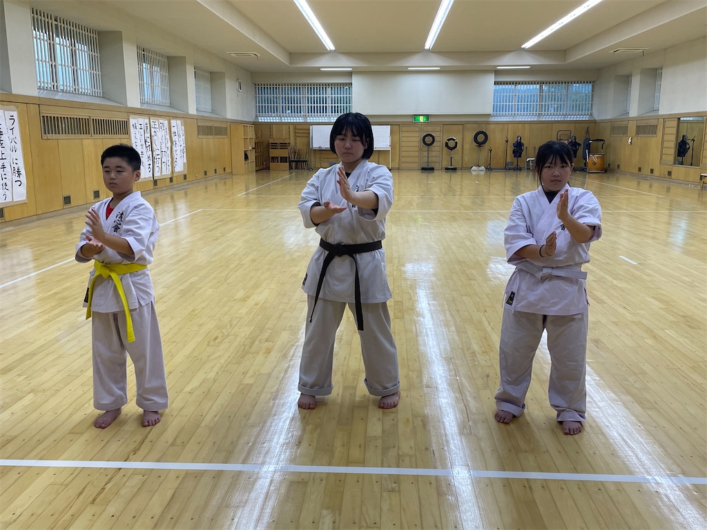 f:id:seishinkan_dojo:20250703200801j:image