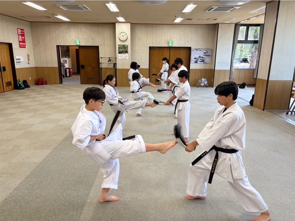 f:id:seishinkan_dojo:20250705150409j:image