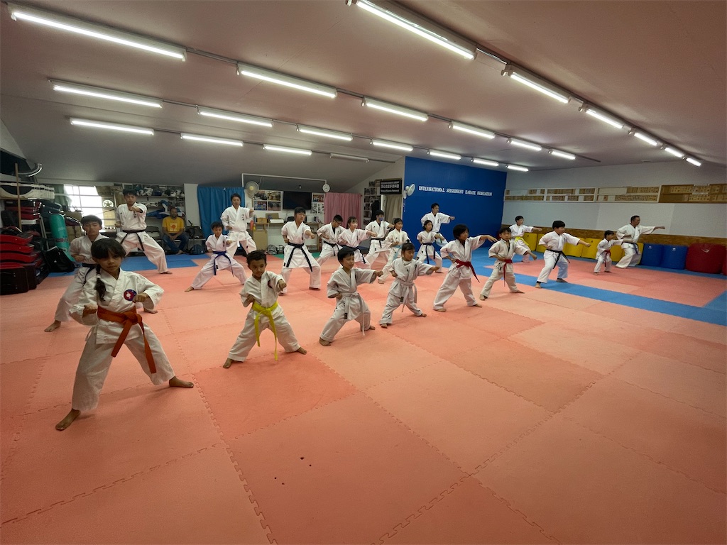 f:id:seishinkan_dojo:20250705213041j:image