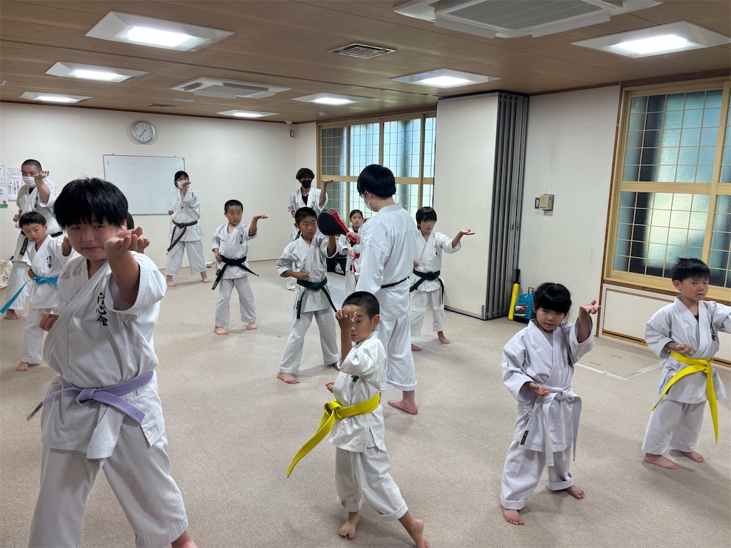 f:id:seishinkan_dojo:20250705215135j:image