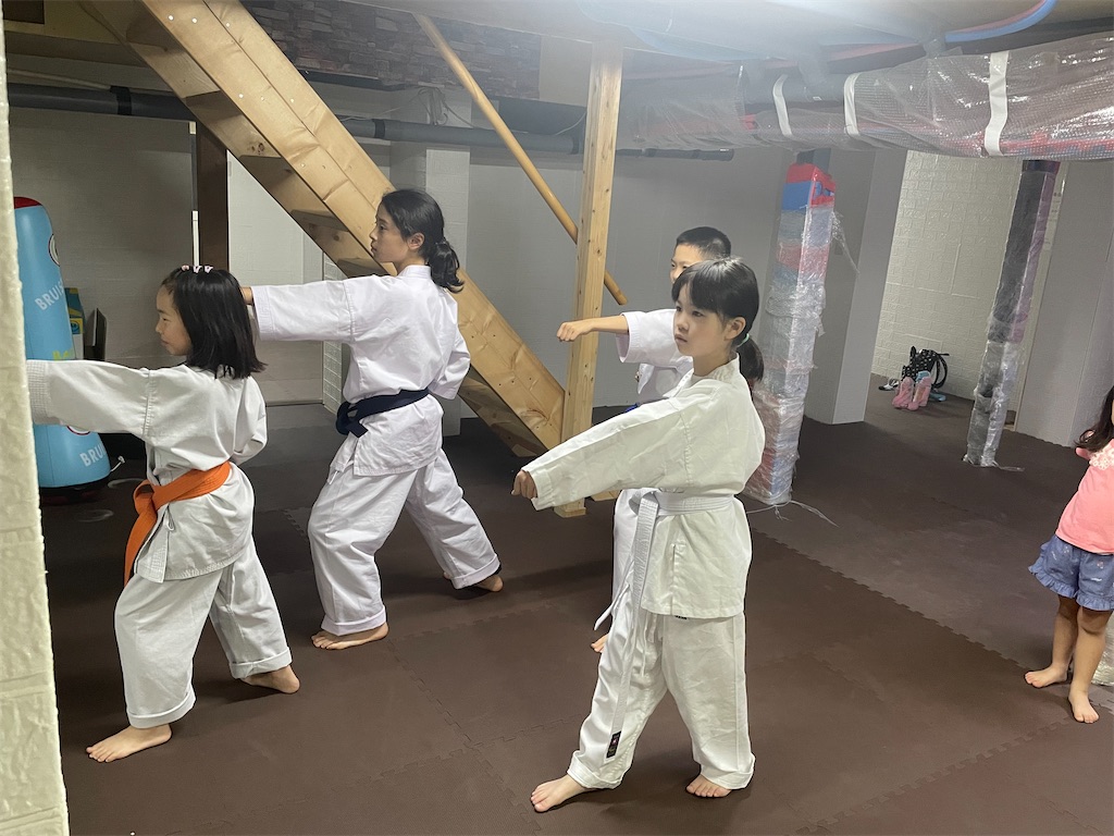 f:id:seishinkan_dojo:20250709180924j:image