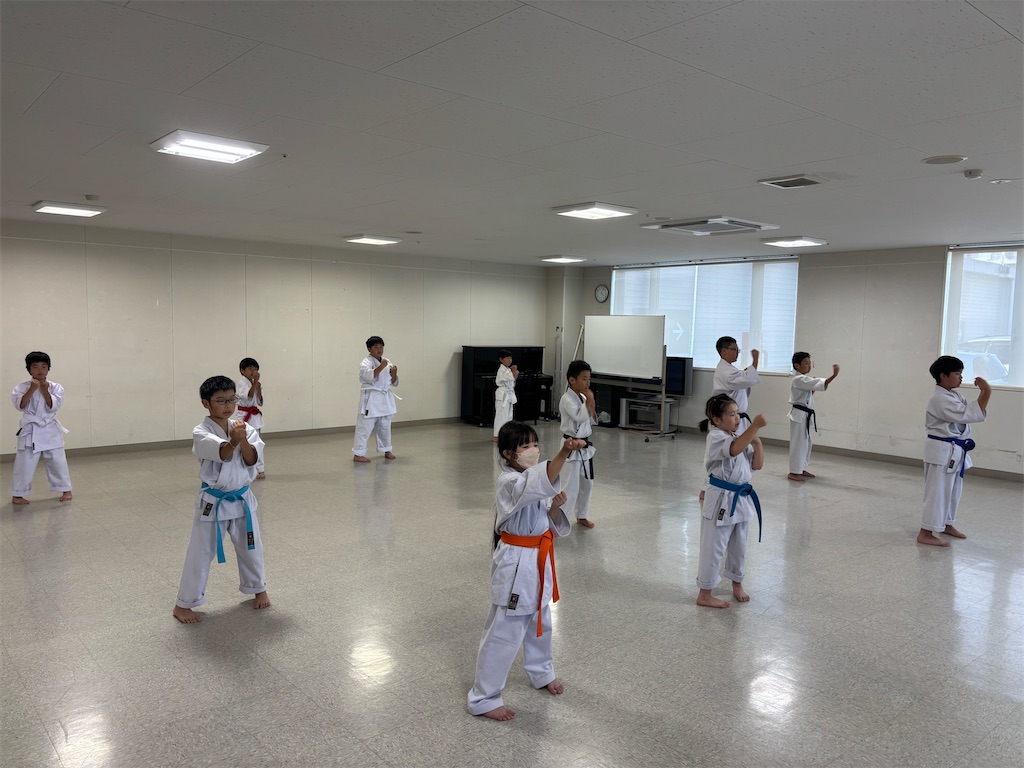 f:id:seishinkan_dojo:20250711123926j:image