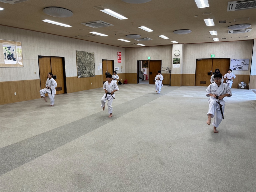 f:id:seishinkan_dojo:20250712210507j:image