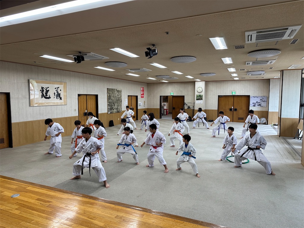 f:id:seishinkan_dojo:20250726183309j:image