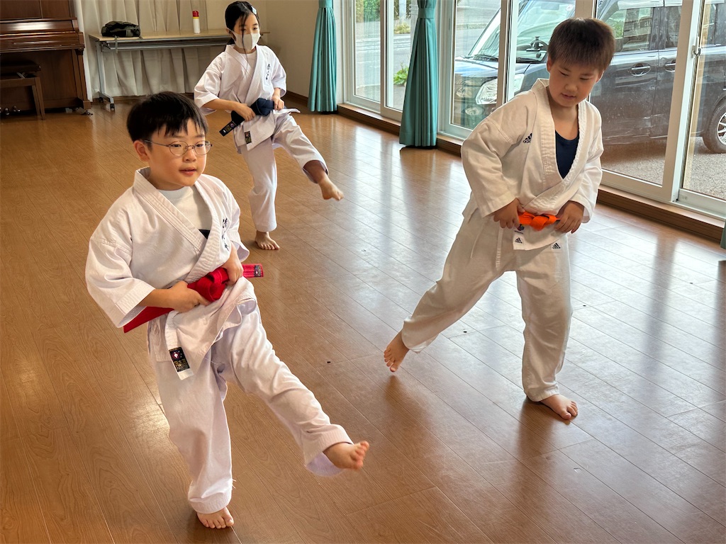 f:id:seishinkan_dojo:20250802170042j:image