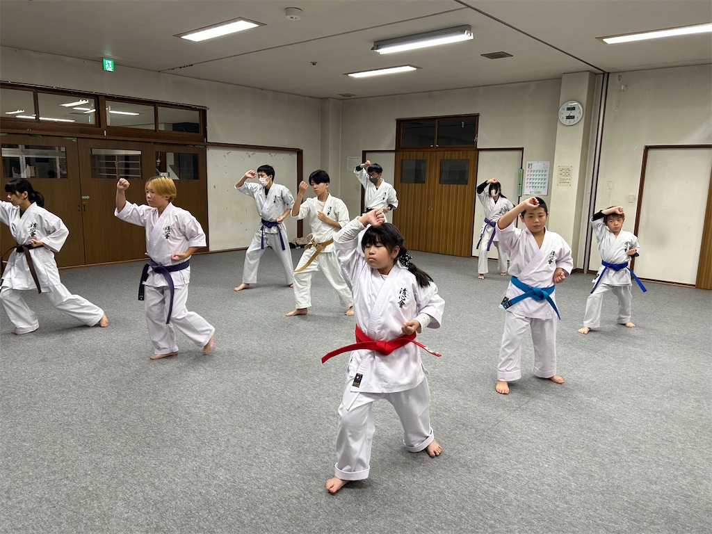 f:id:seishinkan_dojo:20251126005343j:image